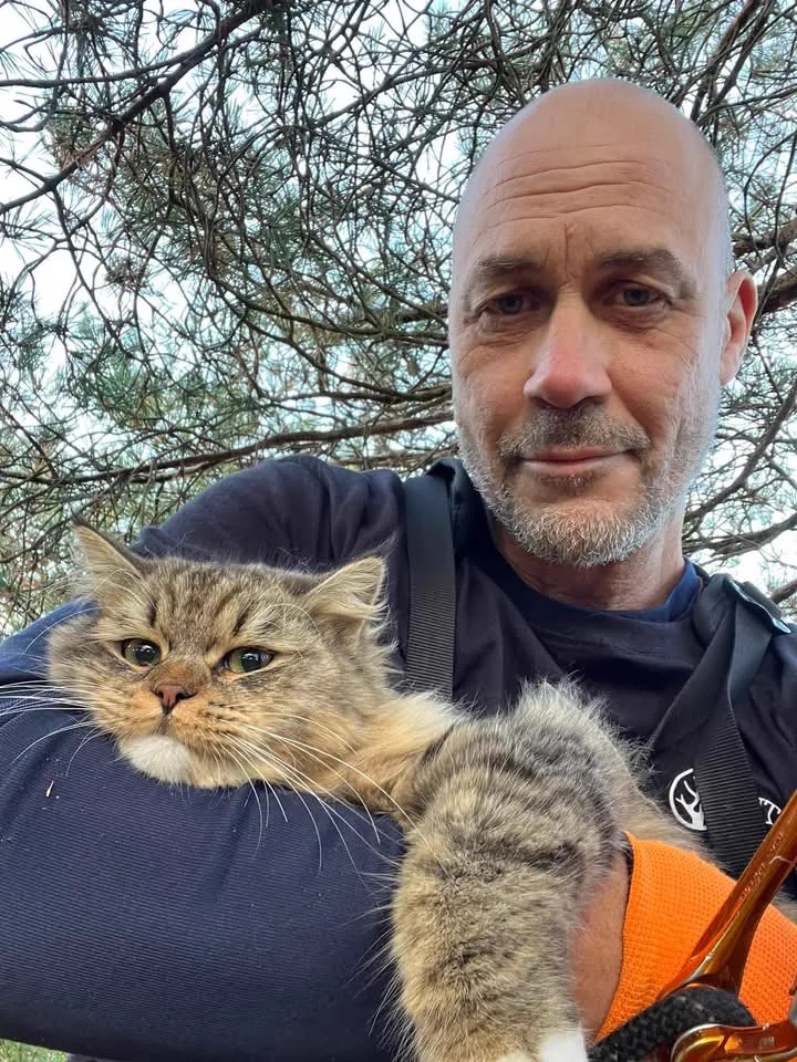 Katträddning i Floda och Lerum – katt räddas ner från träd av UTSIDAN