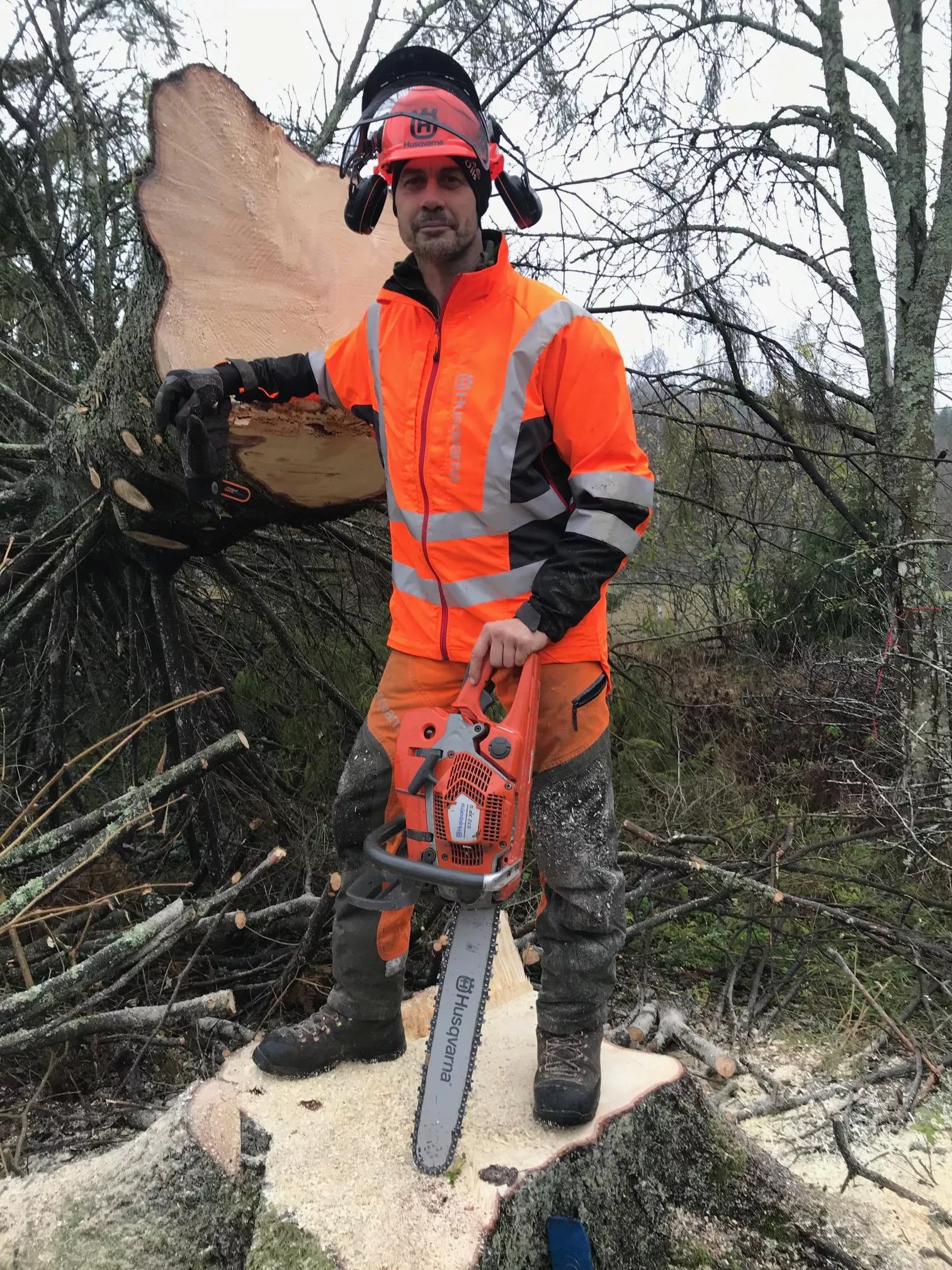 Trädfällning i Floda och Lerum – UTSIDAN Skog & Trädgård